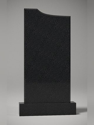 Форма 423