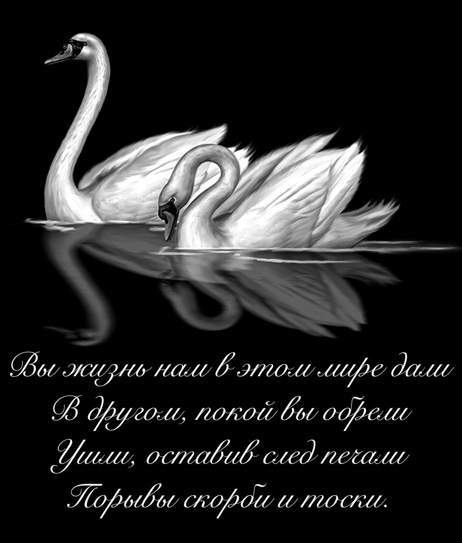 Обратная сторона № 9: Лебеди и памятные строки.